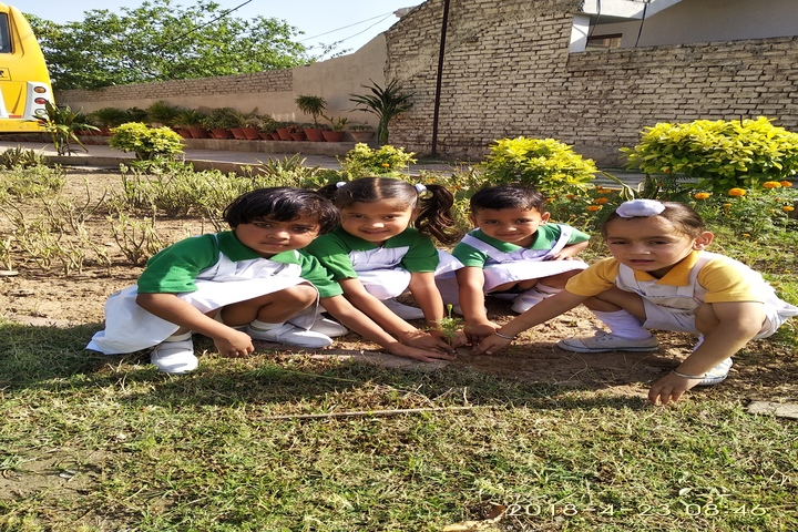 Golden Valley Public School-Tree Plantation