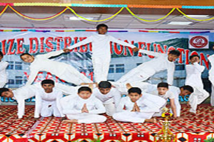 Government BSL Senior Secondary School-Activity