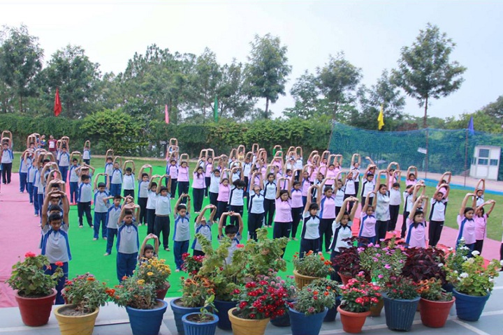 Him Academy Public School-Yoga