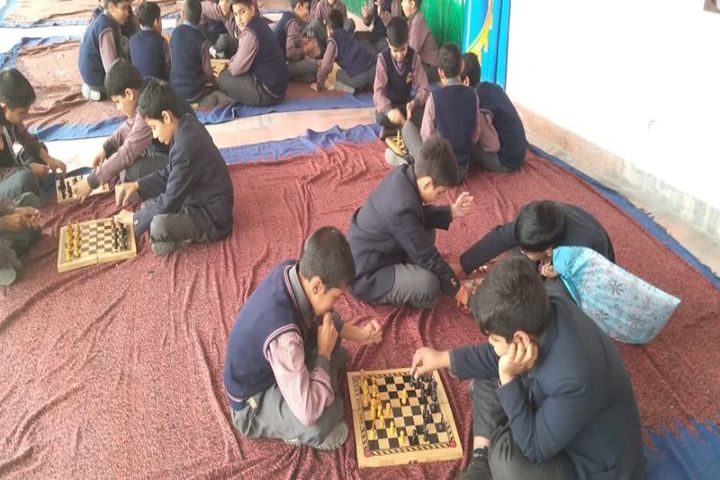 Him Gurukul International School-Indoor Games