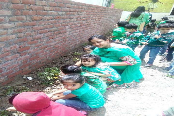 Ivy International School-Tree Plantation