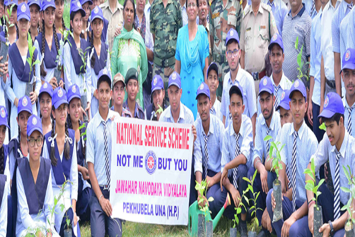 Jawahar Navodaya Vidyalaya-Others plantation drive