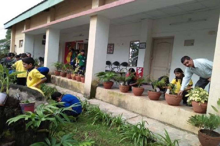 Kendriya Vidyalaya-Tree-Plantation