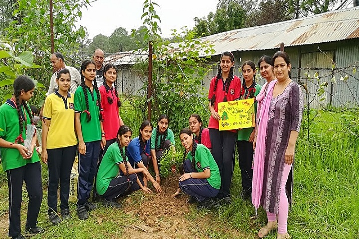 Kendriya Vidyalaya-Tree-Plantation