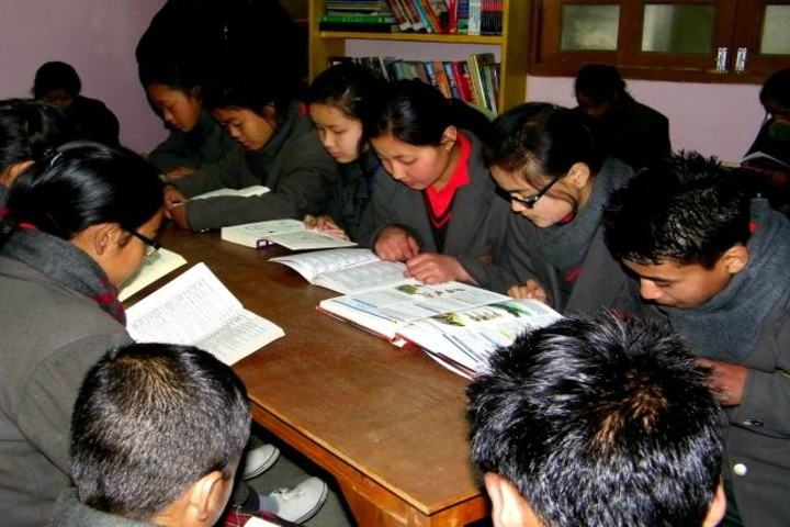 Pine Dale Public School-Library