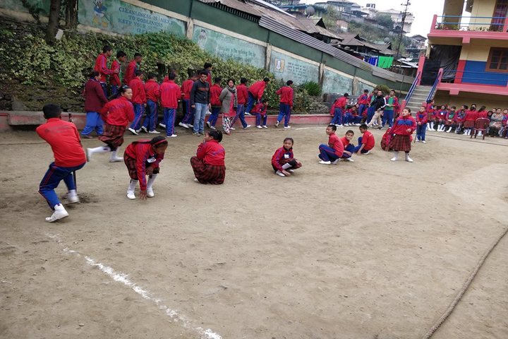 Pine Dale Public School-Sports