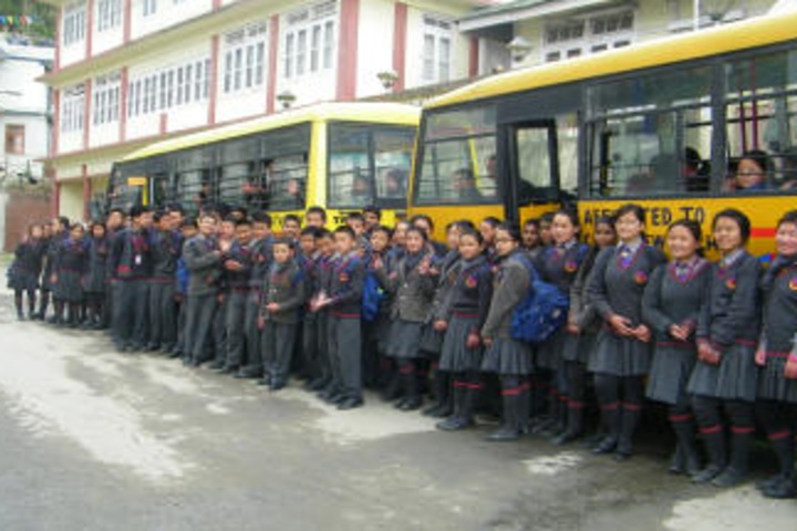 Pine Dale Public School-Transport