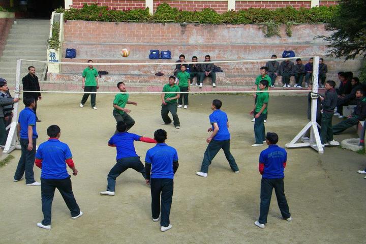 Pine Dale Public School-Vollyball