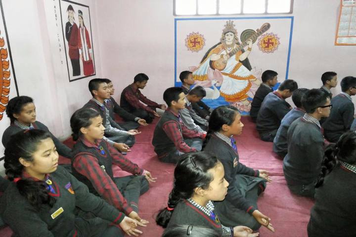 Pine Dale Public School-Yoga