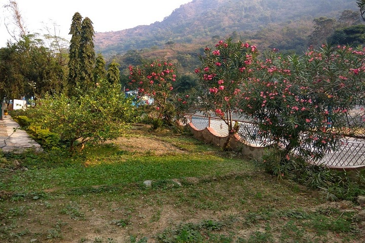 Kendriya Vidyalaya-Botanical-Garden