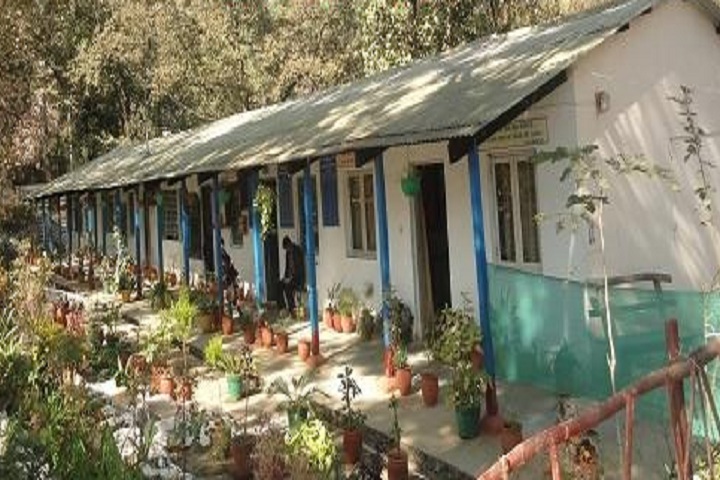 Kendriya Vidyalaya-Gardener