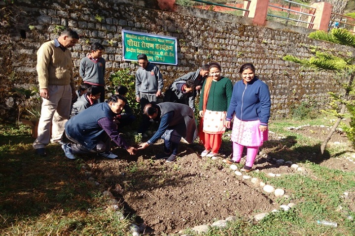 Kendriya Vidyalaya-Tree-Plantation