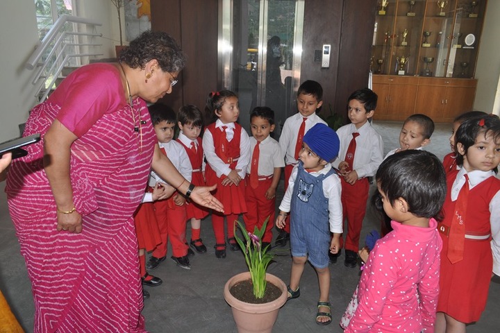 La Montessori School-Environment-Day