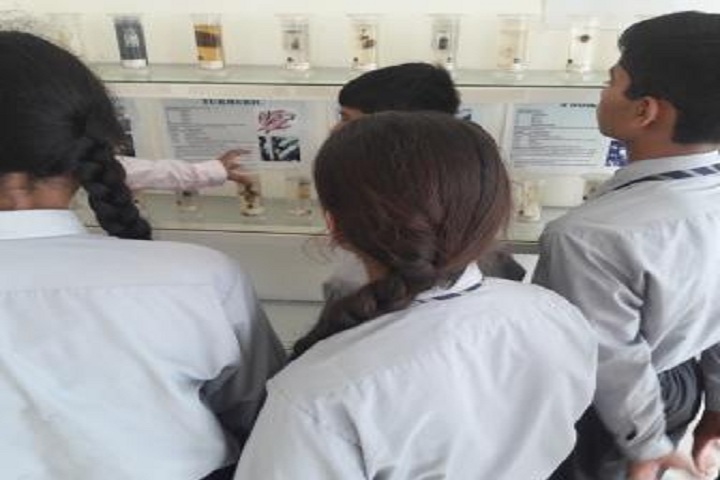 Laureate Global School-Lab2