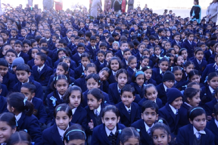 M R A D A V Public School-Auditorium