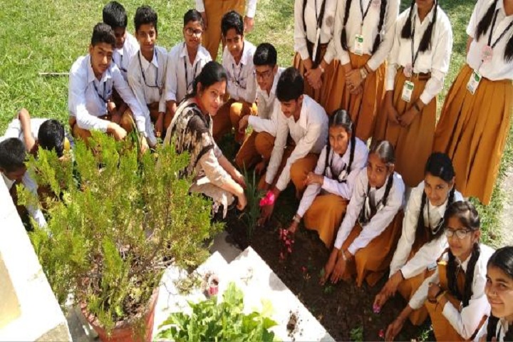 Maharishi Vidya Mandir Public School-Students