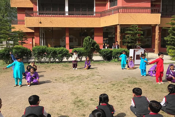 Maxx International School-Play-Ground