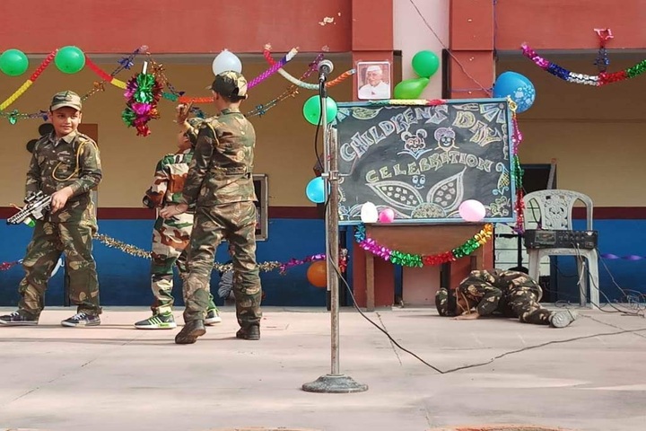 Mehr Chand Mahajan D A V Senior Secondary Public School-NCC