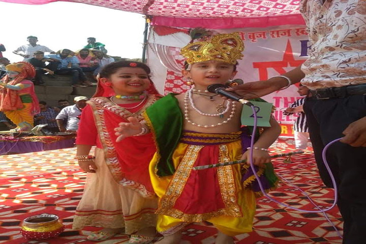 Mehr Chand Mahajan D A V Senior Secondary Public School-Festivals