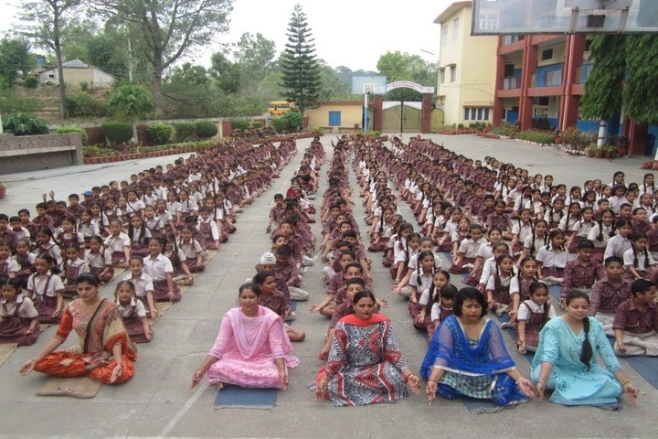 Mehr Chand Mahajan D A V Senior Secondary Public School-Yoga Day