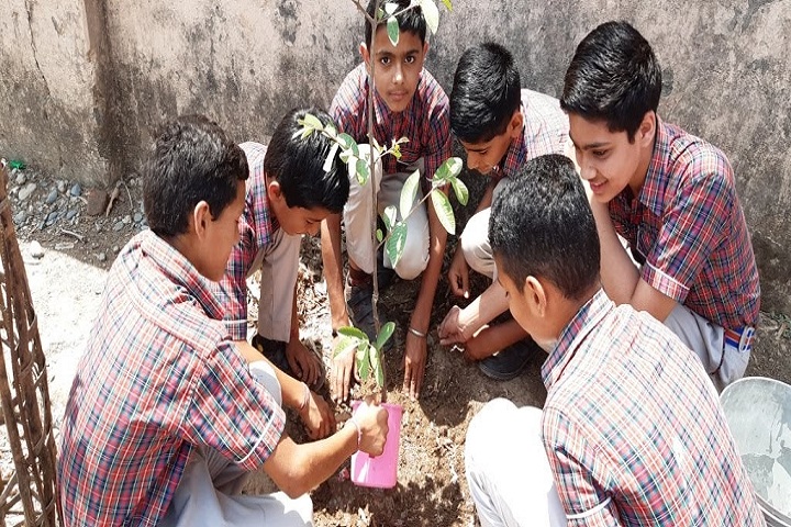 Mehr Chand Mahajan D A V Senior Secondary Public School-World Environment Day