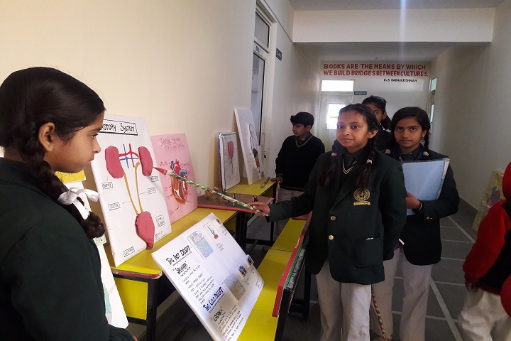 New Gyan Dham Public School-Science-Exhibition