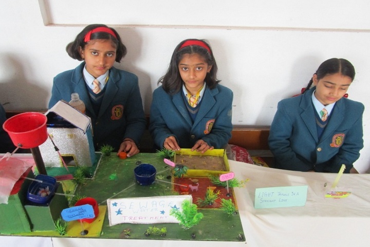 Rainbow World School-Science Fair