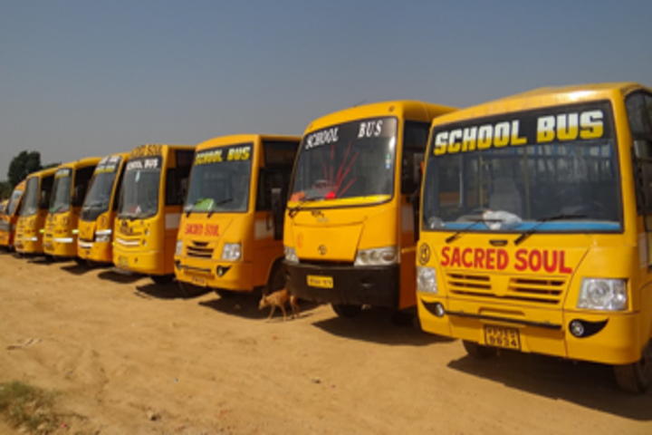 Sacred Soul Cambridge School-Transport