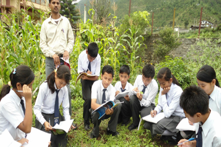 Roopland Public School-Field activities