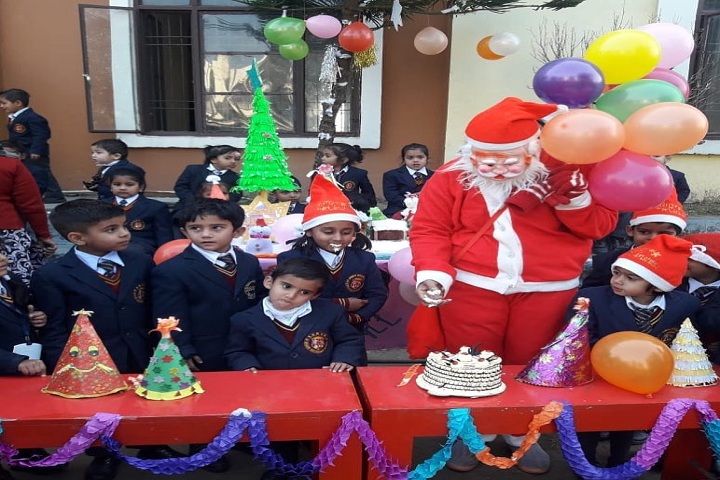 SSRVM Senior Secondary School-Others