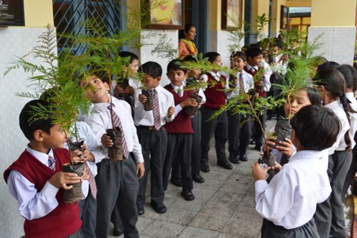St Marys Convent School-Environmental Day