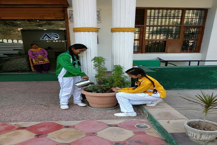 The Gurukul International School-Others plantation