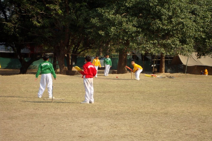 The Gurukul International School-Sports cricket