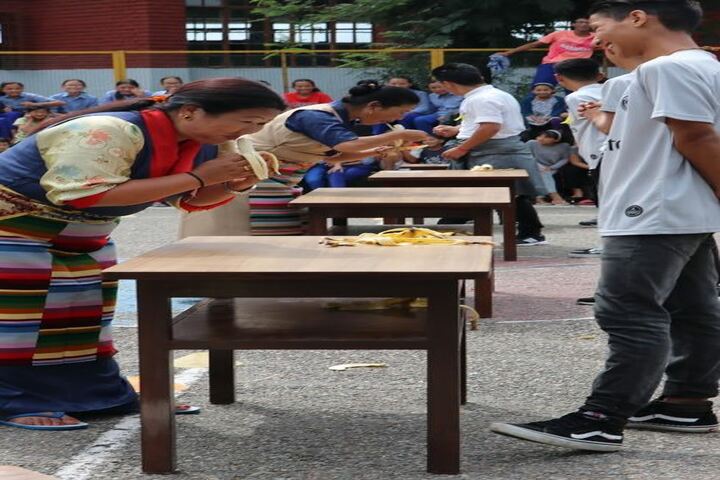 Tibetan Childrens Village School-Games