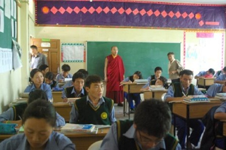 Tibetan ChildrenS Village Senior Secondary School-Activity