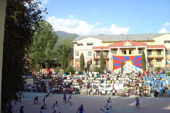 Tibetan ChildrenS Village Senior Secondary School-Play Ground