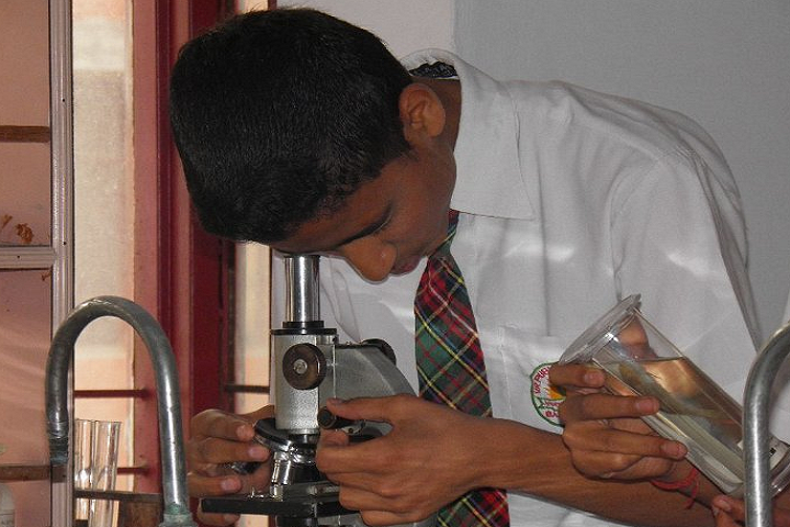 V R Public School-Laboratory biology