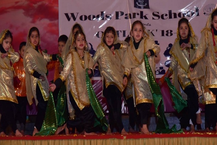 Woods Park School-Events dance