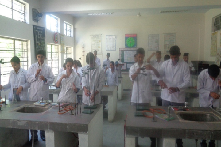Army Public School-Laboratory chemistry