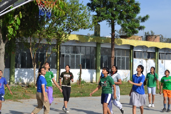 Army Public School-Sports basketball