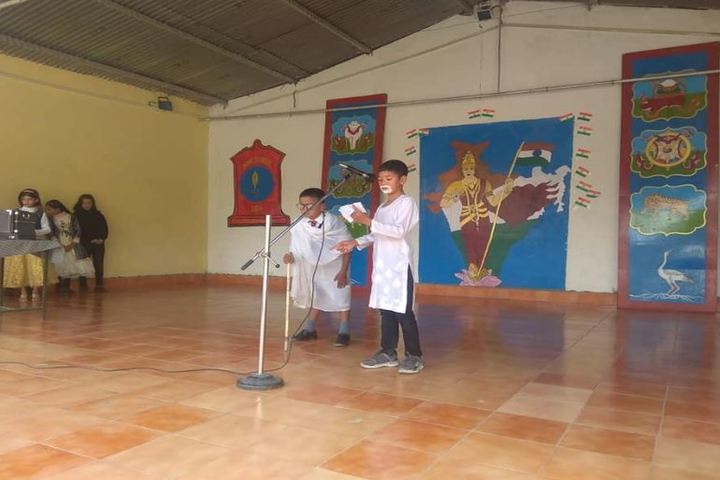 Army Public School-Fancy Dress