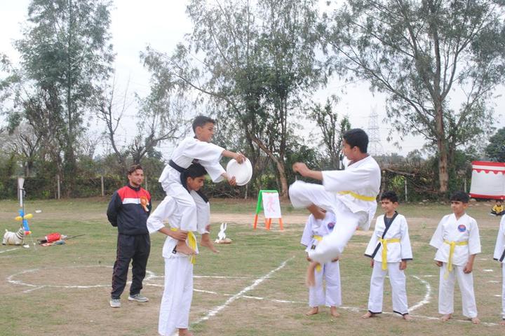 DCM Public School-Karati
