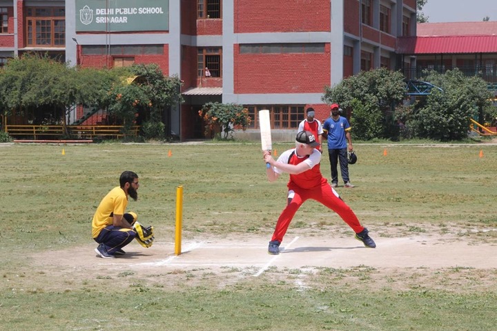Delhi public School-Cricket