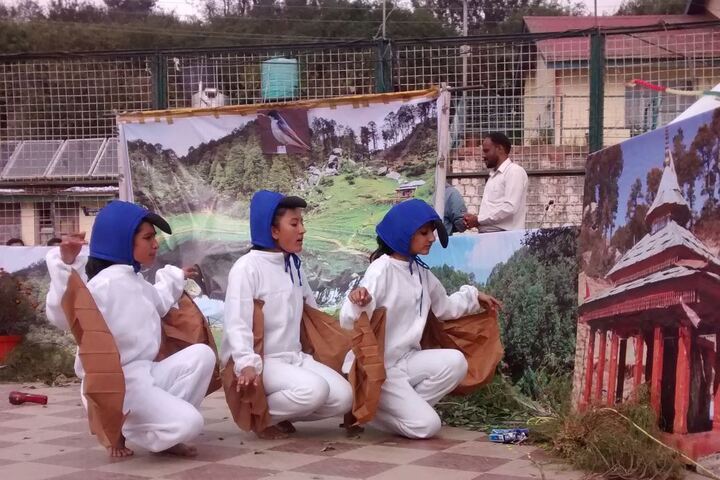 Jawahar Navodaya Vidyalaya-Art