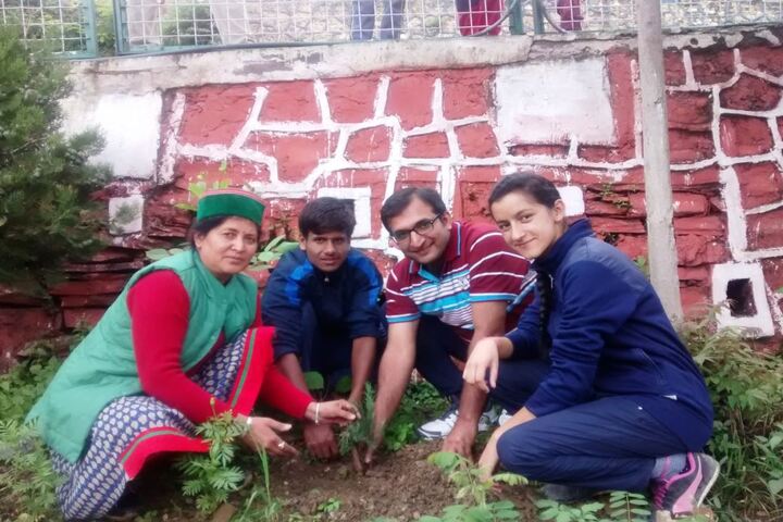 Jawahar Navodaya Vidyalaya-Tree Plant