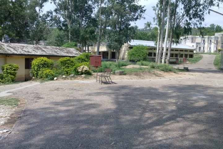Jawahar Navodaya Vidyalaya-School View