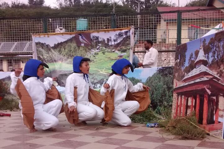 Jawahar Navodaya Vidyalaya-Art