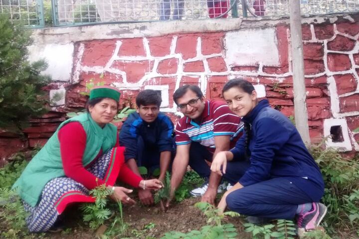Jawahar Navodaya Vidyalaya-Tree Plant