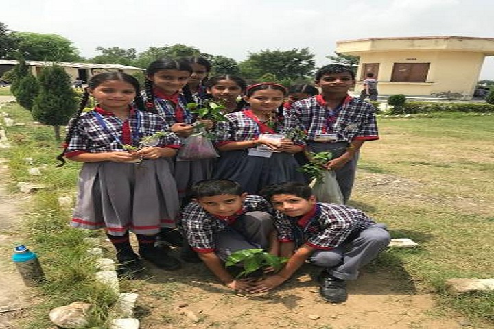 Kendriya Vidyalaya-Plantation