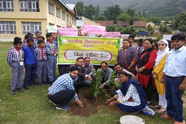 Kendriya Vidyalaya no 3-Tree Plant